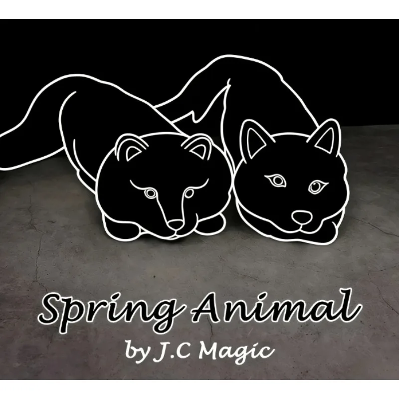 

Весеннее животное (кроличье мех) от J.C Magic White Fox или Raccoon Magic Trick, комедийный и сценический иллюзионный трюк для фокусников