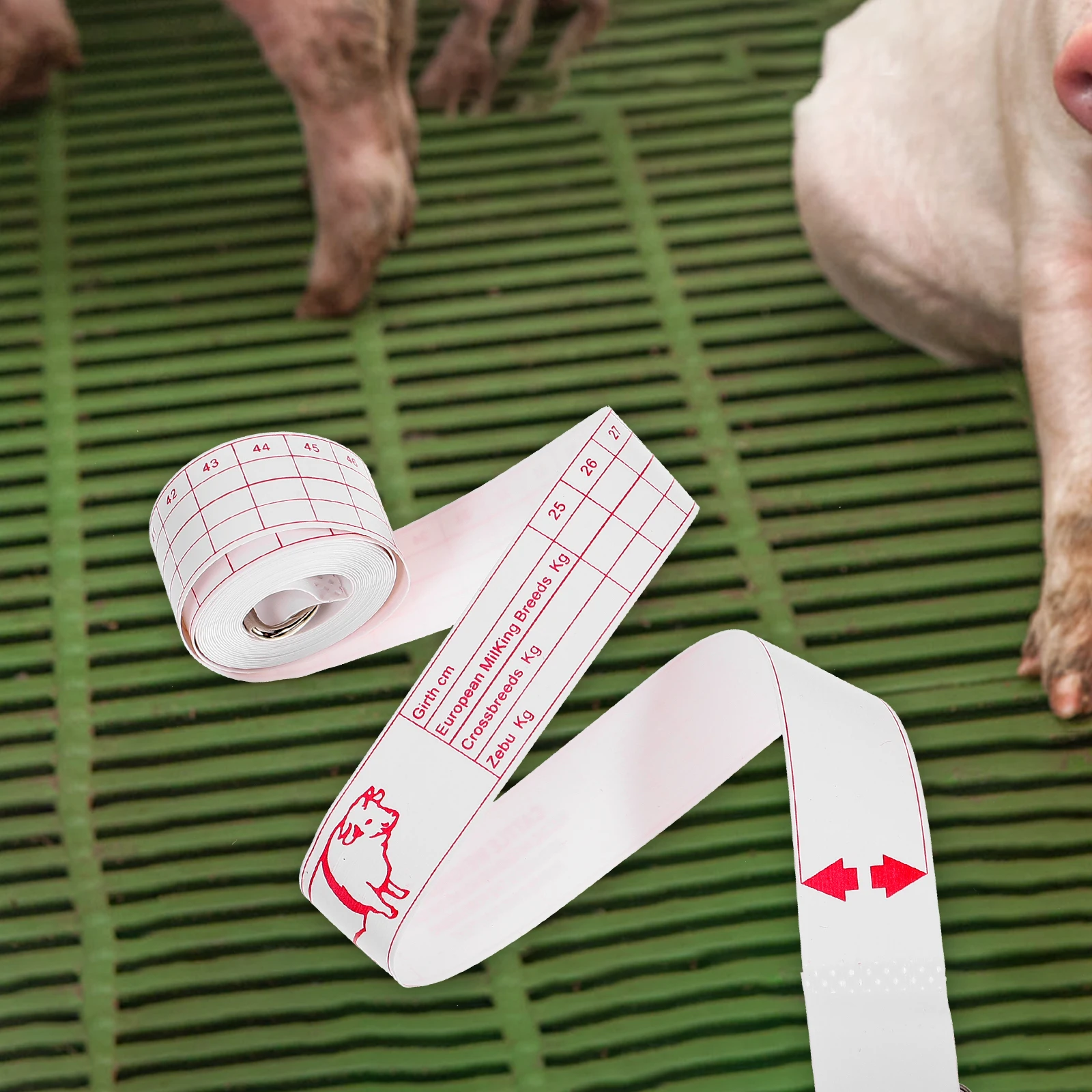 

Animal Tape Measure For Cattle Horse Pig Weight Measuring Tool Accurate Body Size Portable Farm Supply Livestock Measuring Tape