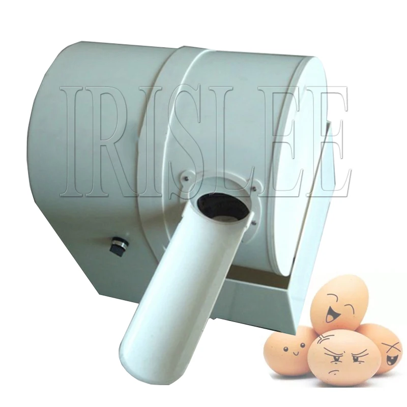 Lavadora de huevos comercial totalmente automática de doble puerto, lavadora de huevos de pollo, pato, ganso