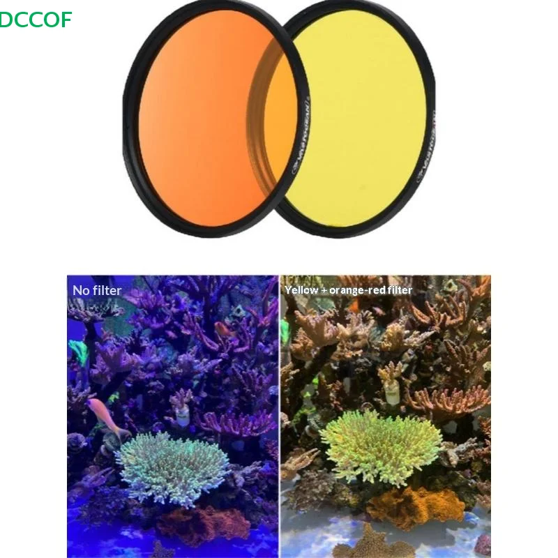 1 Set Saltwater Cor…