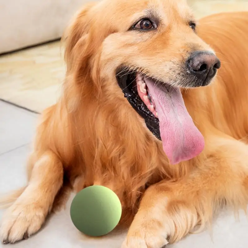 Dog Toy Ball Thrower Anti-slip Handle Tennis Ball Thrower For Small Dog Retractable Ball Throwing Stick Pet Toy Ball Thrower