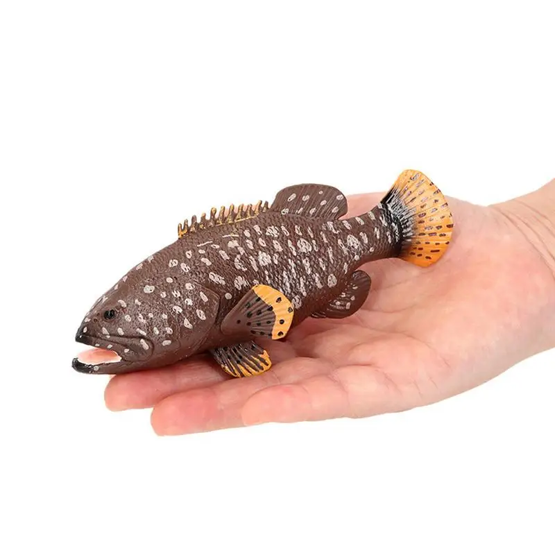 Sealife-figura de acción de animales marinos para niños, modelo de simulación, Grouper, juguete educativo cognitivo