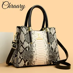 Fashion Women Bags Designer Crossbody Handbags for Women Shoulder Bag Crocodile Leather Purse Snake Skin Stripe Print Ladies Bag