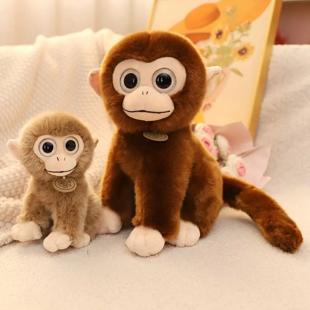 Big Eyed Golden Monkey Plush Long Tail Stuffed Animal Monkey Stuffed Toy Bedroom Decoration 17/30CM Brown Monkey Dolls