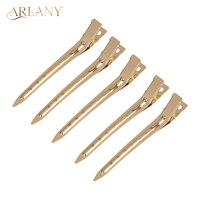 5 Pcs Metal Hair Clip Professional Ladies Beauty Makeup Salon Supplies Fixed Hair Hairdressing Styling Tool Clip with Holes