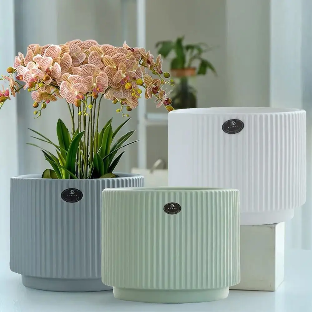 

Fashion Self Watering Lazy Plant Pot Plastic Garden Supplies Hydroponic Planter Potted Flower Pot