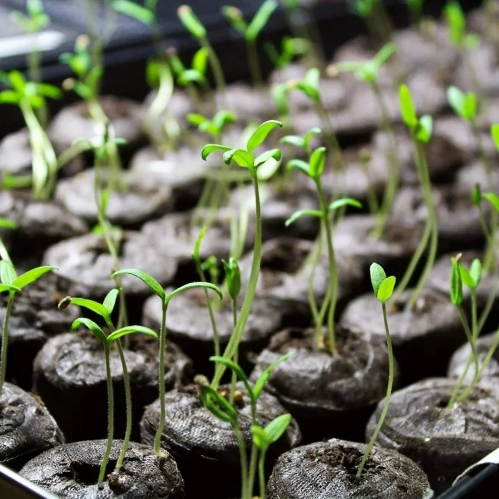 Compressed Non-Woven Soil Pellets For Germination For Nutrients & Easy Use For Garden Plants Growing