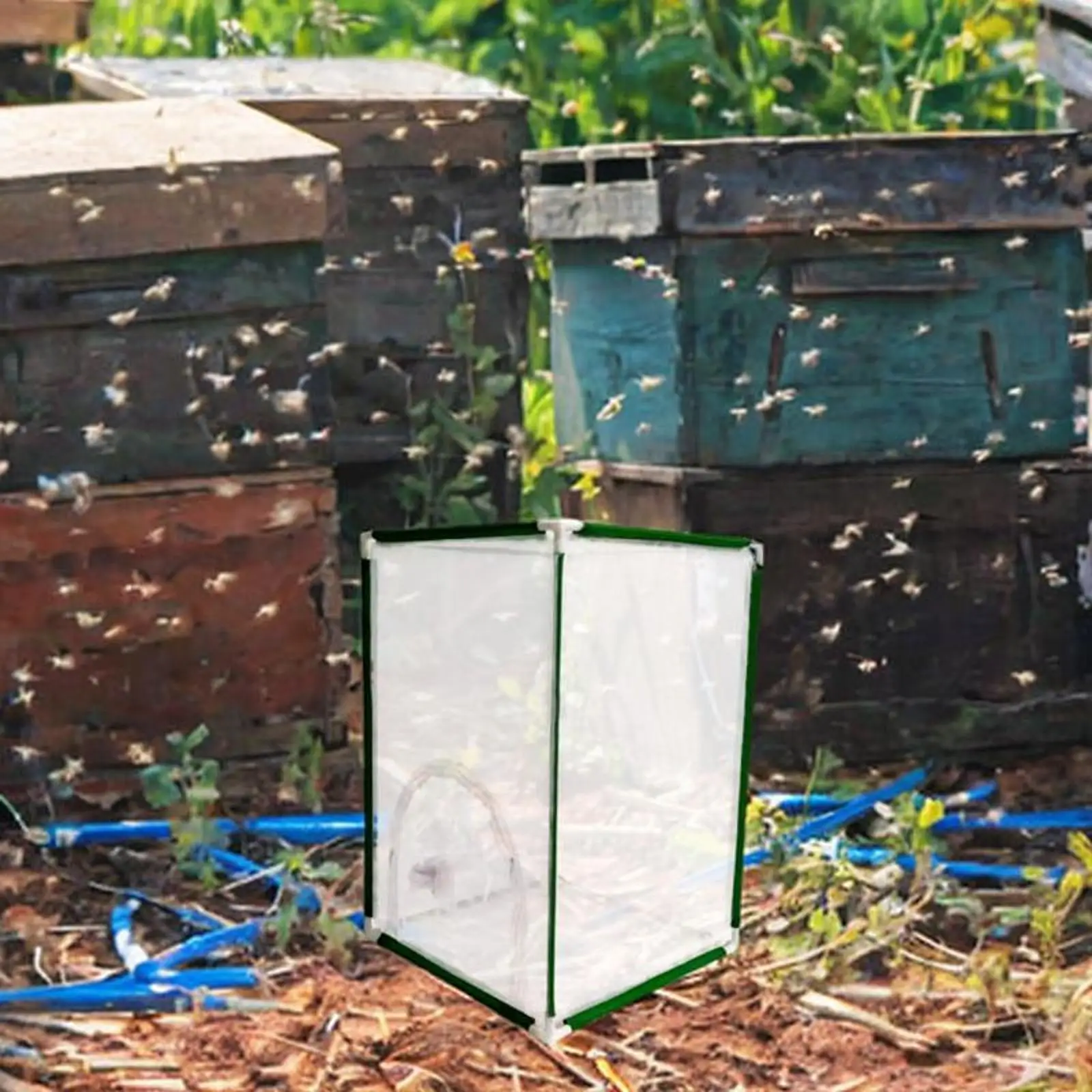 Butterfly Habitat Cage Mesh Cage Ventilation Reusable Protection Cover Butterfly Terrarium Net for Garden Yard