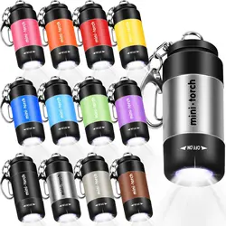 Mini Flashlight Keychains Rechargeable Small Torch for Kids Portable Multicolor Key Ring Lamp for Travel Camping Party Favors