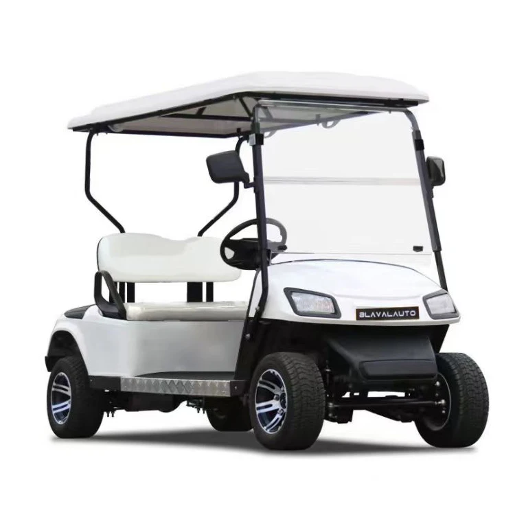 Electric Golf Cart  scenic tour sightseeing car Four-wheeled mobility scooter