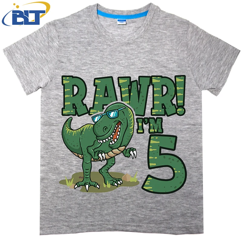 Dinosaur Birthday for 5 Year Old Boy Printed Kids T-shirt Summer Cotton Short Sleeve Casual Tops Suitable for Boys and Girls