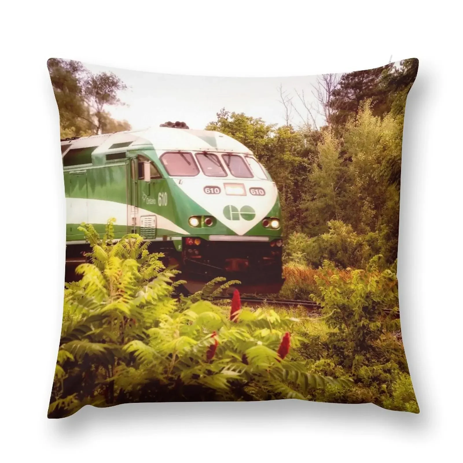 

Go Train On Tracks 5 Throw Pillow Pillowcase Cushion Sofa Covers Covers For Sofas Cushion Child pillow