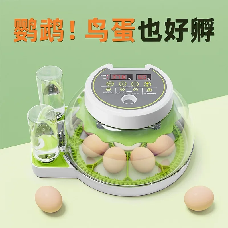 

Fully Automatic Intelligent Small Parrot Pigeon Bird Egg Incubator Mini Flying Saucer Box