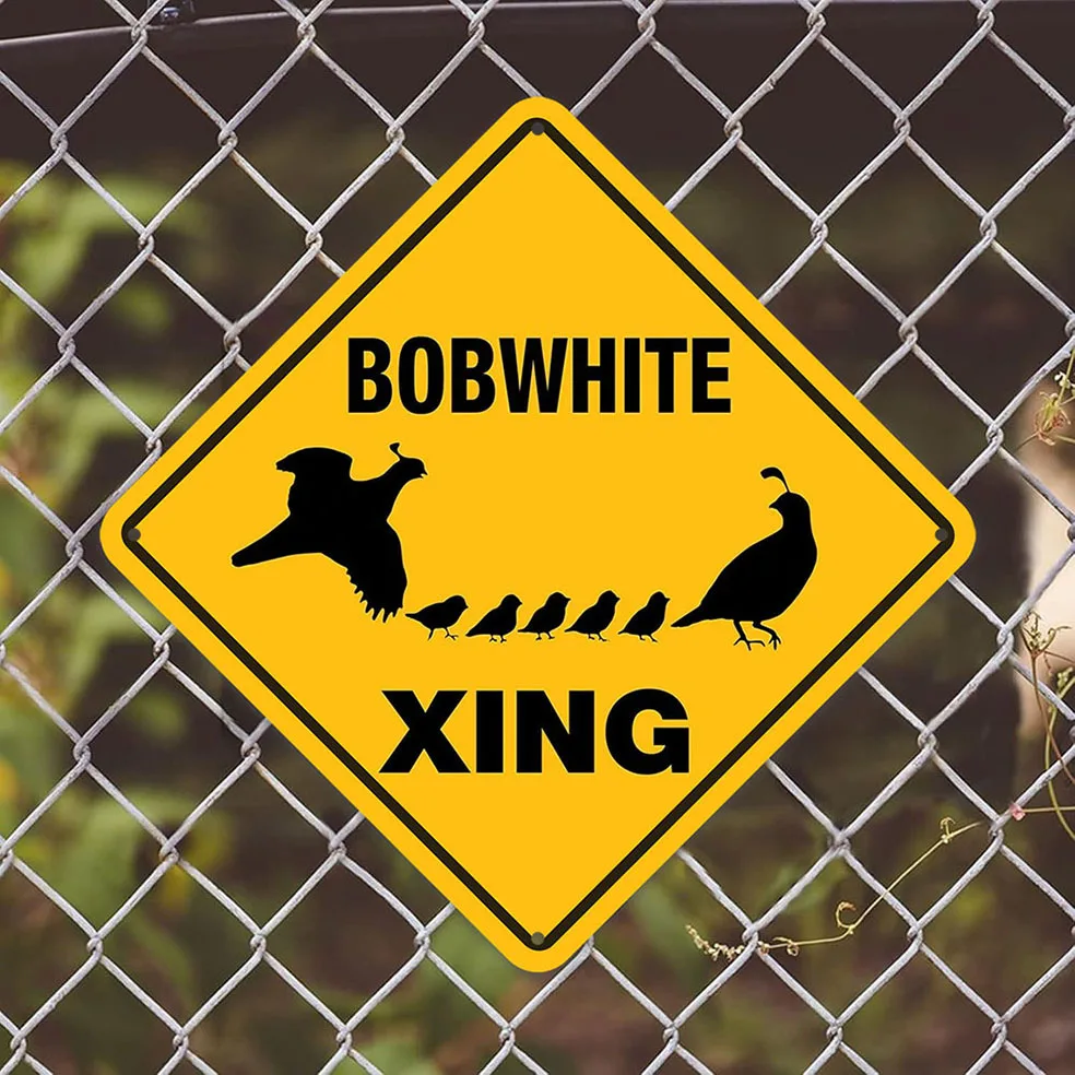 Humorous Metal Sign, Featuring A Ring-necked Pheasant Crossing, Perfect for Indoor or Outdoor Decoration.