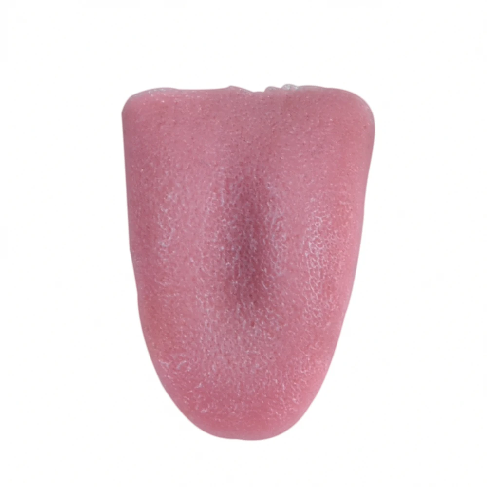 Realistic Fake Tongue Magic Tricks Horrible Tongue Rubber Tongue Prank Joker Accessories Close Up Street Gimmick Comedy Props