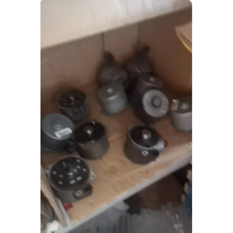 Hydraulic Oil Pump Motor Motor BM.0077947.E BM.0117593.C Hydraulic Oil Pump Motor