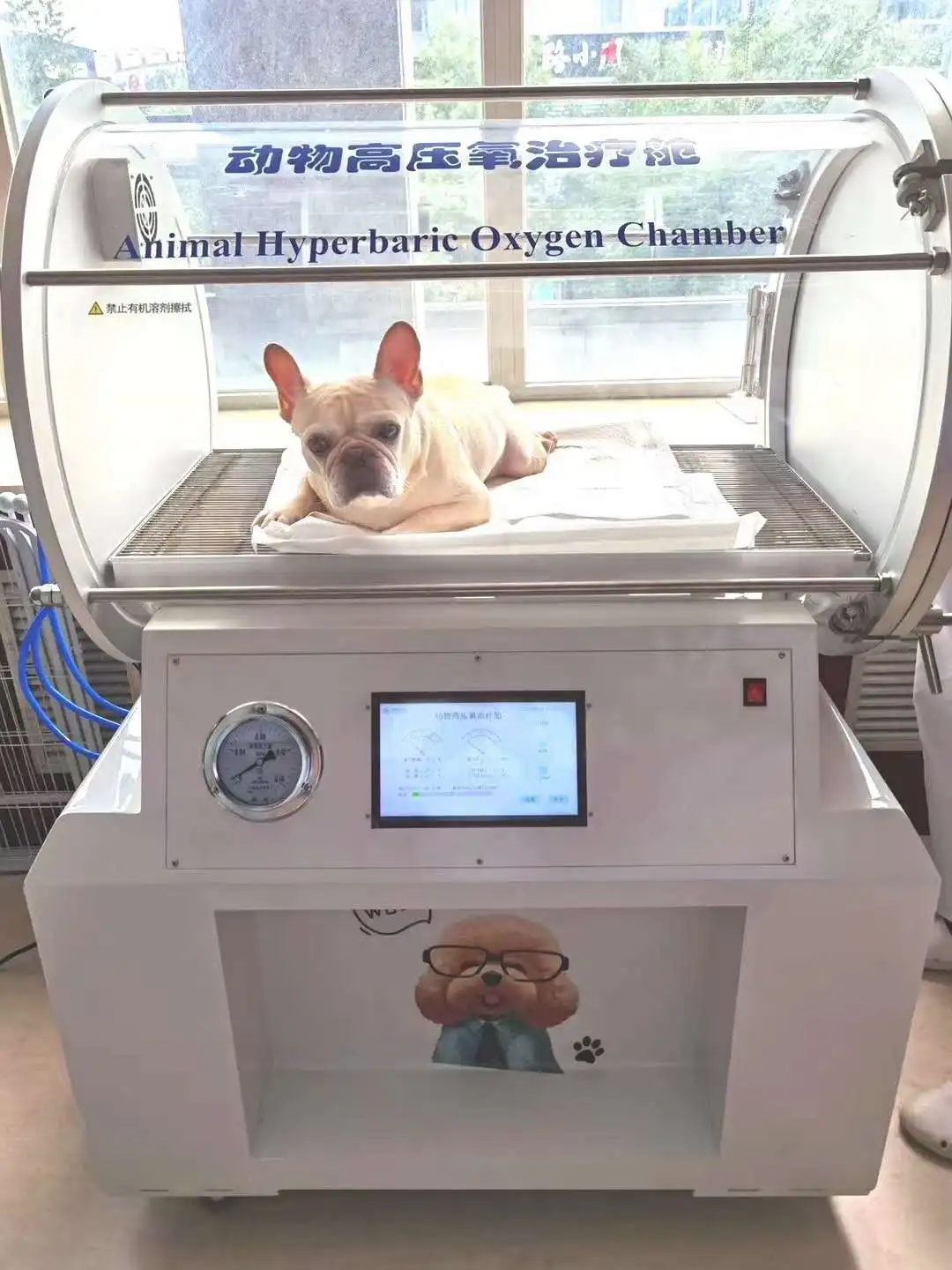 Veterinary Treatment Machine WOX-820V Animal Hyperbaric Oxygen Therapy Chamber(Animal HBOT)