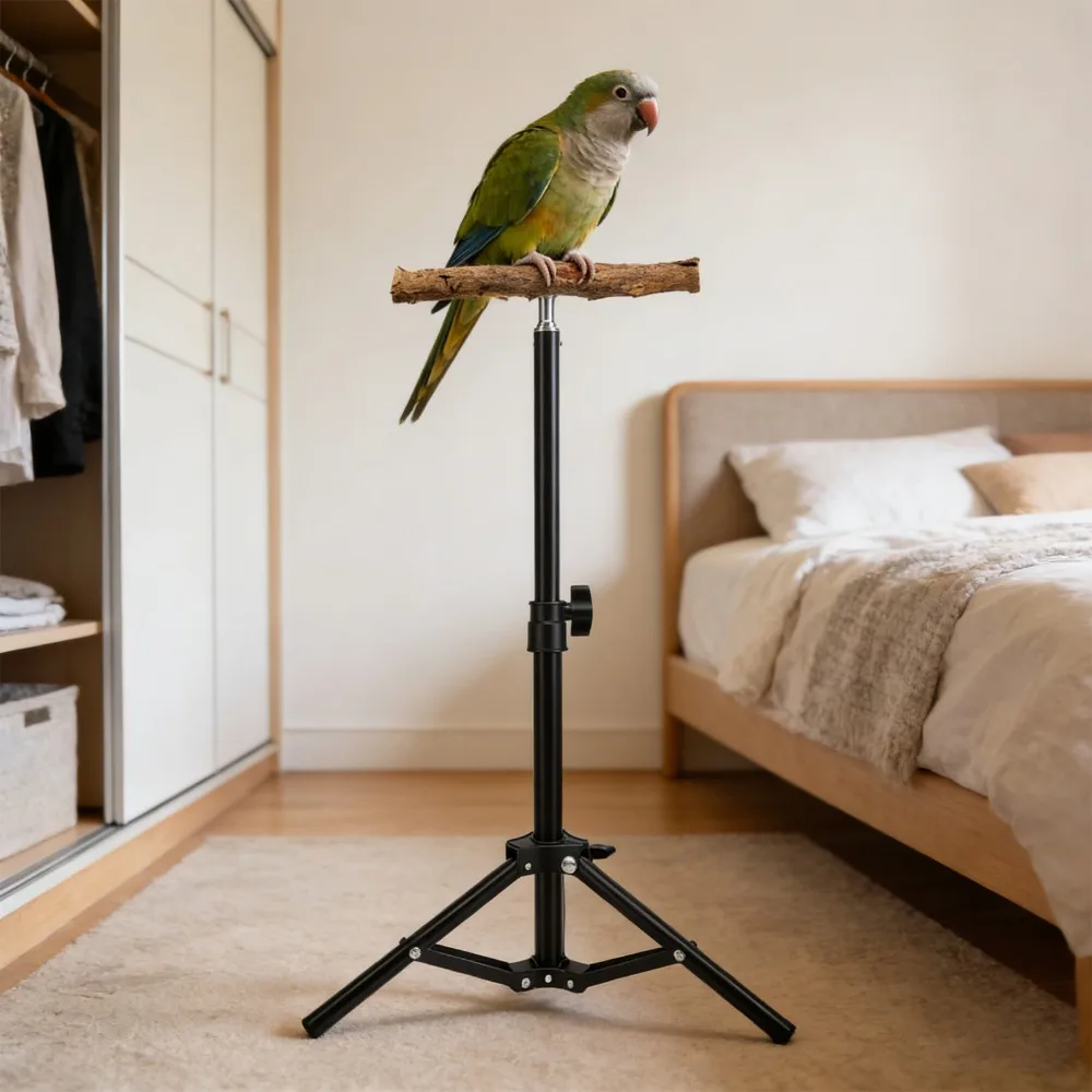 Vogeltrainingsständer aus Legierung, höhenverstellbar, faltbar zur Aufbewahrung, stabiler Vogelspielständer in Schwarz – Detail 8