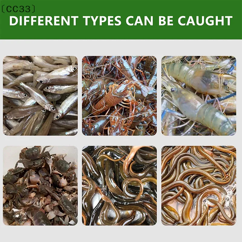 [-CC33」 6 ثقوب الصيد لوتش جراد البحر الأصفر ثعبان البحر قفص مختلط الأسماك جراد البحر الماسك في الهواء الطلق الصيد صافي قفص البلاستيك الروبيان فخ قفص #4