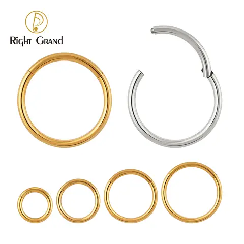 Right Grand ASTM F136 titanio incernierato cerchio anelli al naso 20G 18G 16G setto anello Piercing del corpo gioielli Helix cartilagine Rook orecchino