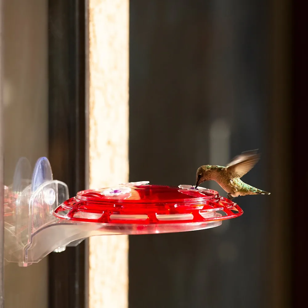 3 in 1 Hummingbird Feeder with 6 oz Nectar Red Glass Bottle Garden Outdoor Decor - view 5