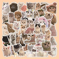 60pcs Cute Cat Expression Sticker Pack DIY Phone Bike Wall Scrapbook Motorcycle Waterproof Cartoon Sticker for Kids Toys Gifts