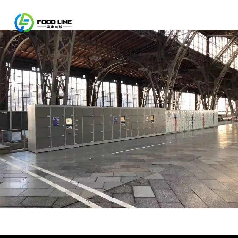 Customized Self Pick up Electronic Smart Cabinet Parcel Delivery Locker for Post Express