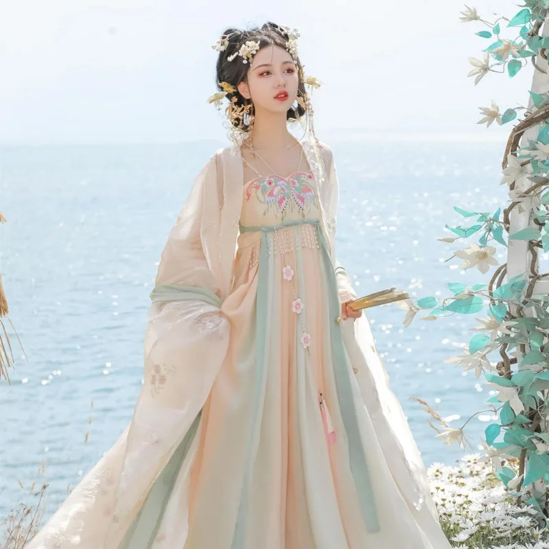 Chinese Traditional Princess Hanfu Dress Tang Dynasty Women Embroidery Cosplay Fairy Ancient Clothes Vintage Dance Party Dress