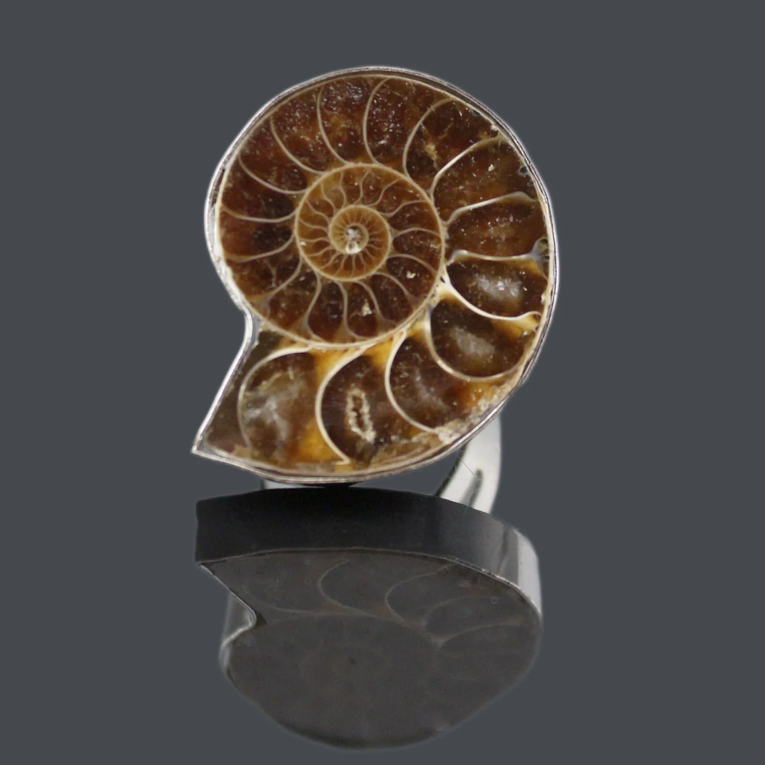 New 2024 Adjustable Ring for Women and Men with Ammonia Conch Shell Flat Natural Stone Ring Fashion Jewelry