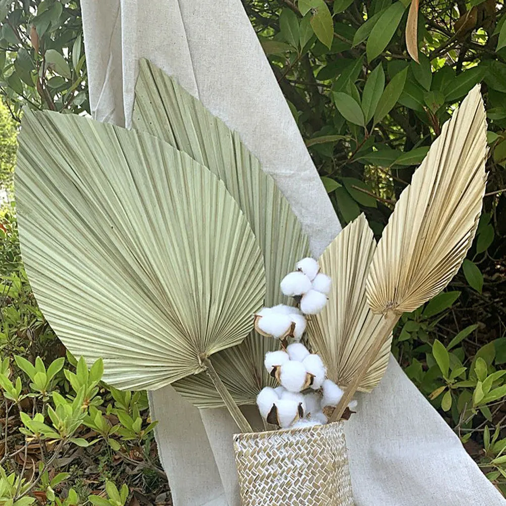 1 szt. Suszony liść palmy naturalny dekor świeży kolor lekki salon sypialnia motyw hawajski aktywności suszony liść palmy