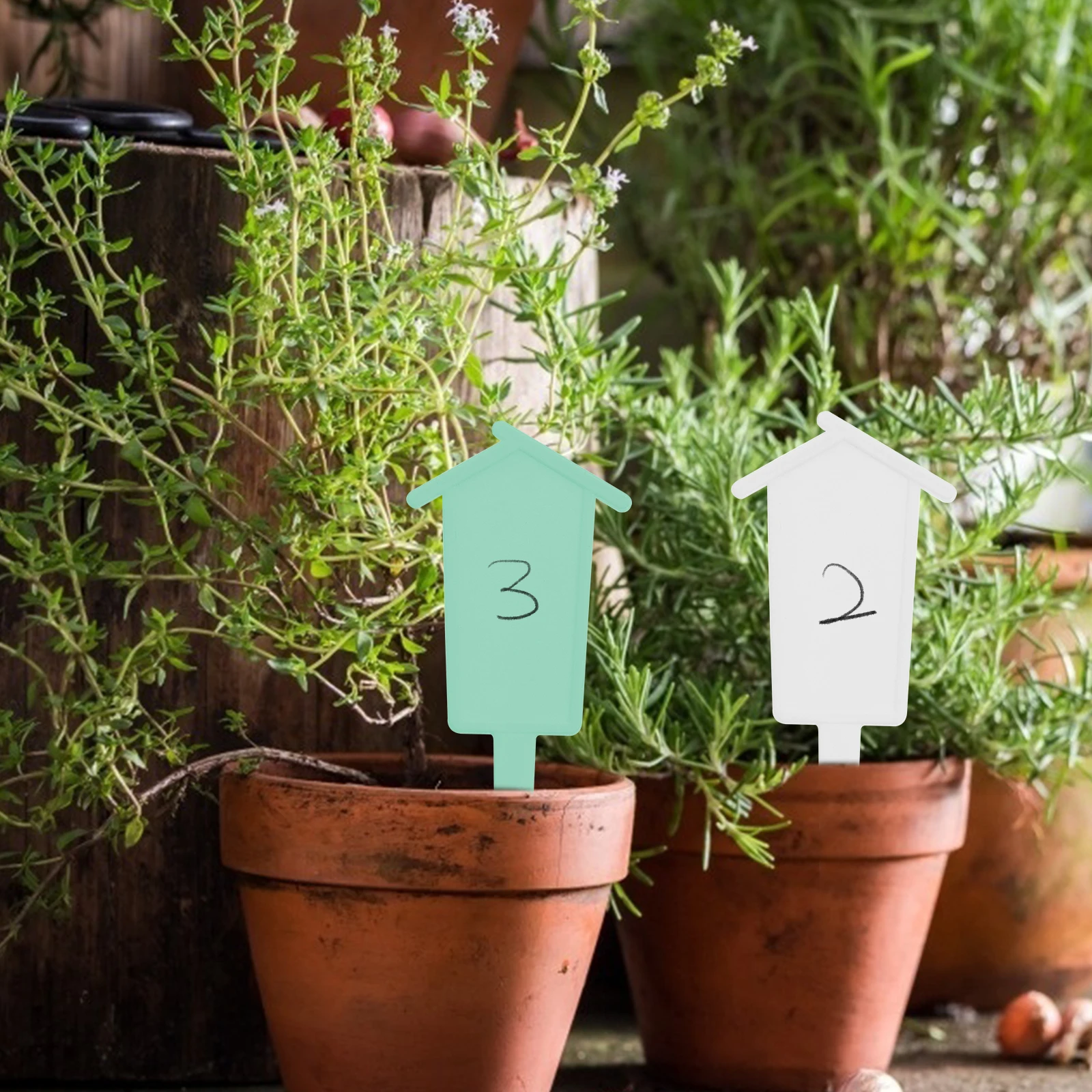 

60Pcs Stylish Garden Labels Plant Tags Durable Plant Markers Creative Gardening Labels Flower Signs