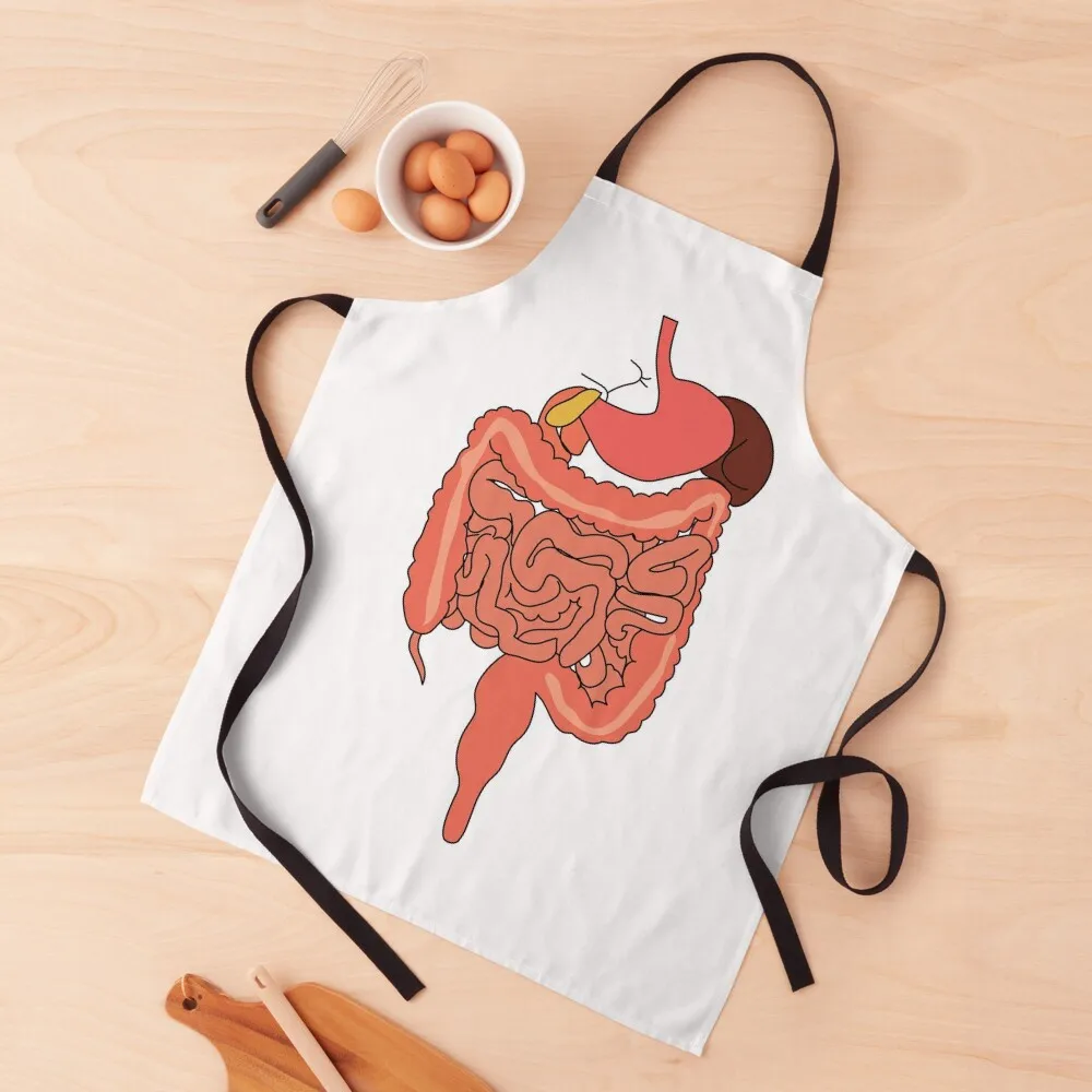 

human digestive system diagram poster human digestive system diagram educational art Apron restaurant accessories Apron