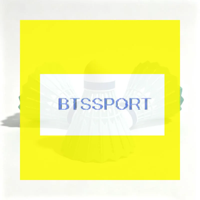 1/3/6Pcs New Badminton Shuttlecock Professional Durable Badminton Balls Accessories Stable Badminton Trainer Household