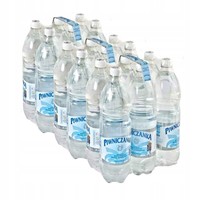 Basque Natural Mineral Water Low-Saturated CO2 1.5L x 18 pieces