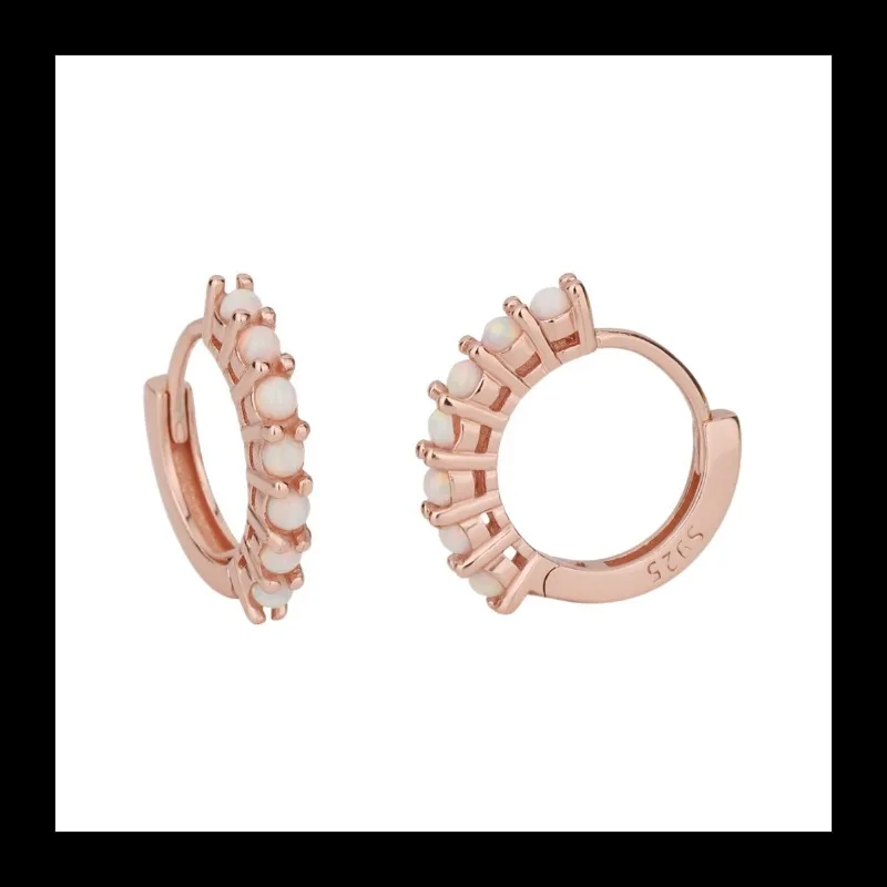 S925 فضة بسيط الأزياء دائرة الماس الأقراط الراقية مزاجه تنوعا الأقراط والمجوهرات #5