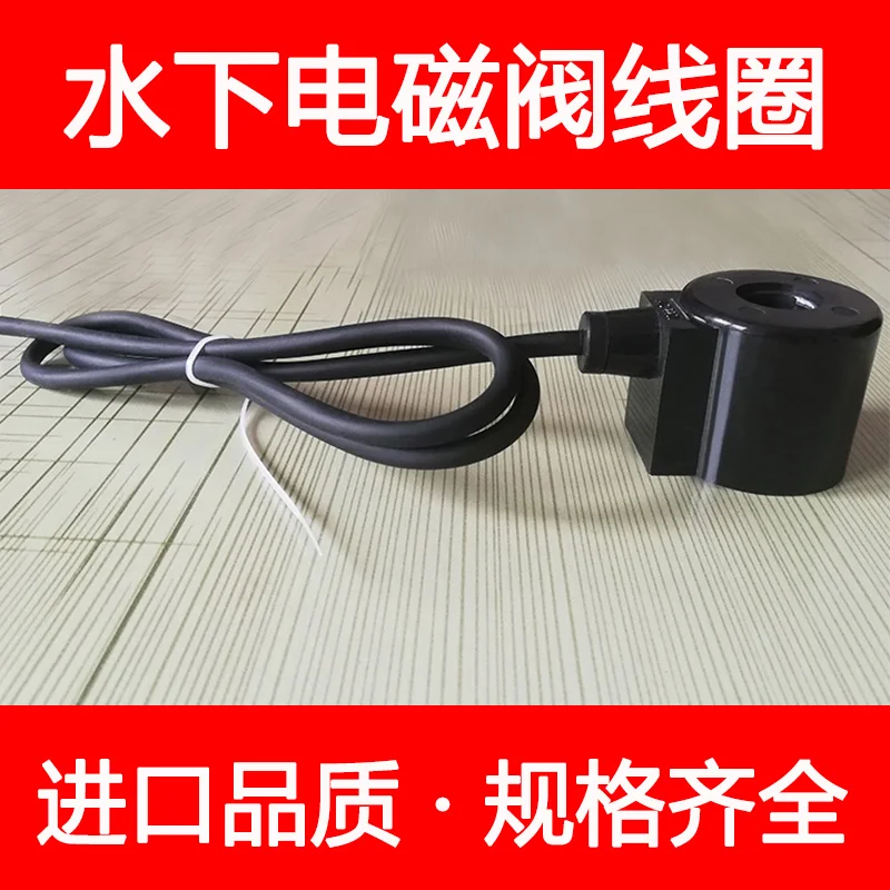 All copper underwater fountain waterproof solenoid valve water  coil 220v buried solenoid control  switch valve 24v