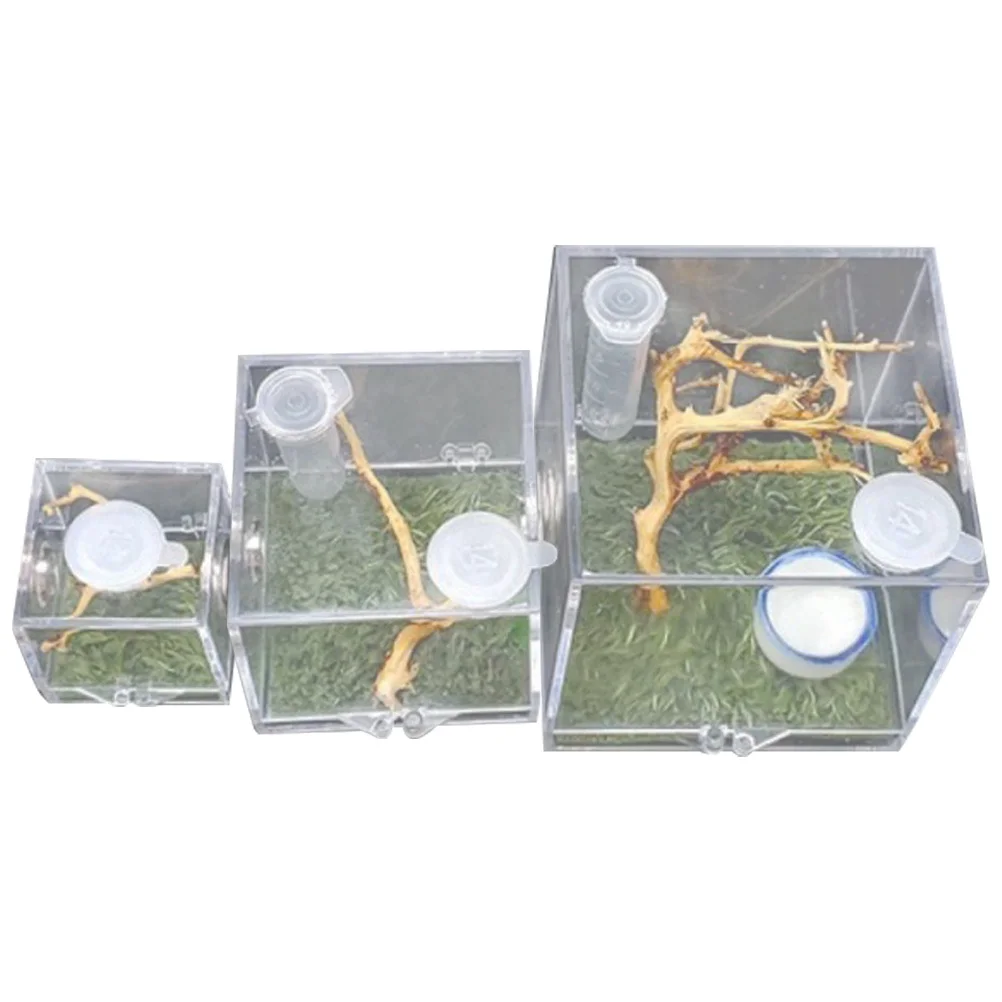 

3pcs Clear Jumping Spider Breeding Box Acrylic Insect Habitat Case Ventilated Feeding Container For Spiders Crickets Reptiles