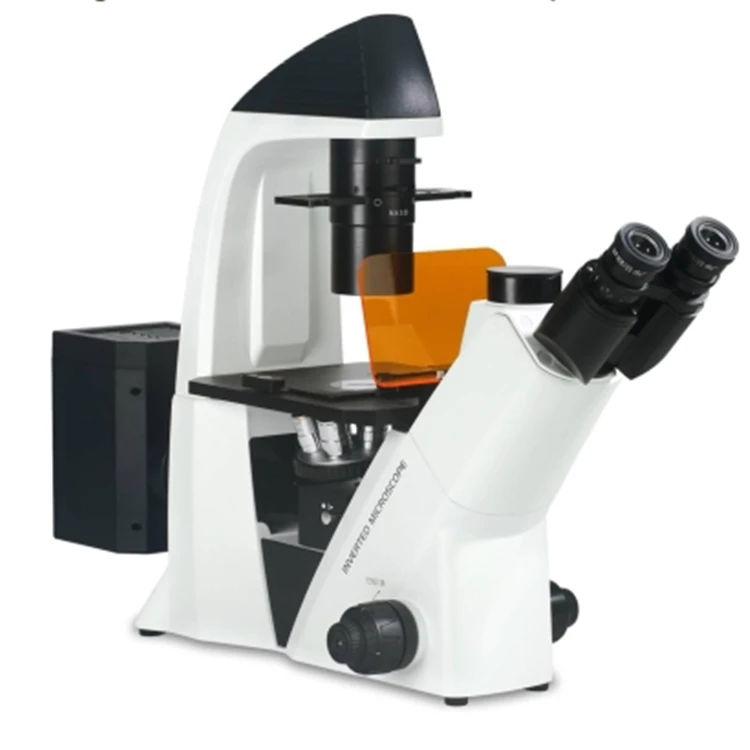 

biological inverted lab microscope for sale/fluorescence microscope