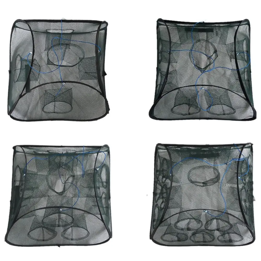 Professional 5 9 13…