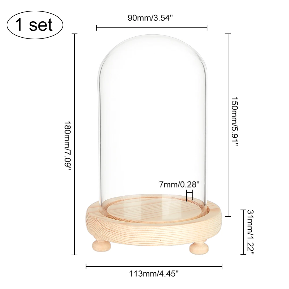 Helder glazen koepeldisplay Balvormige vitrine van helder glas met tarwehouten basis Decoratieve displaykoepelkoffer voor planten - afbeelding 1