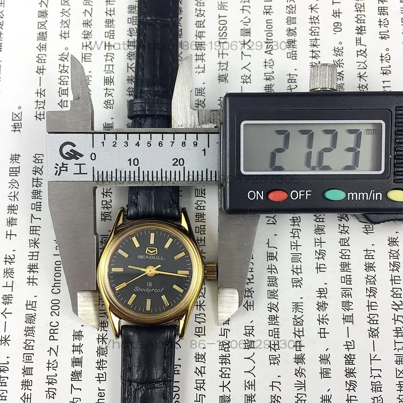 24-Hour Shipping Seagull Brand Yellow Shell Black Noodle Nail Mechanical Women's Watch, Diameter 27mm