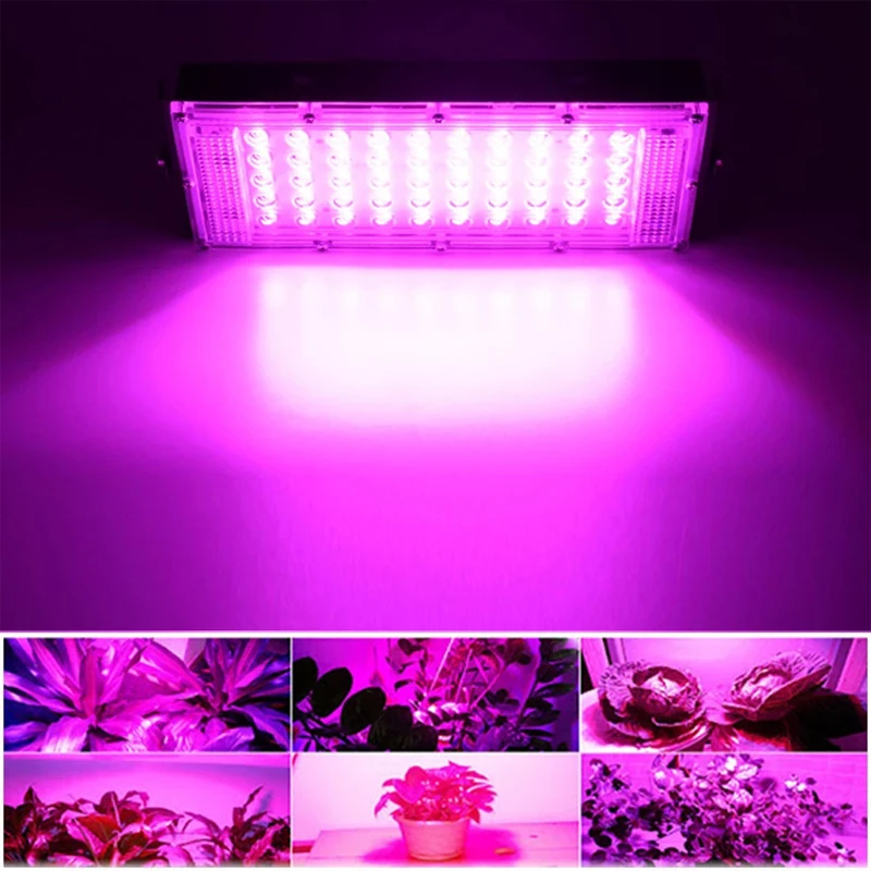 220V Full Spectrum LED Grow Light 100W 200W 300W Phyto Lamp For Plant Light Hydroponic Lamp Greenhouse Flower Seed Grow Lighting