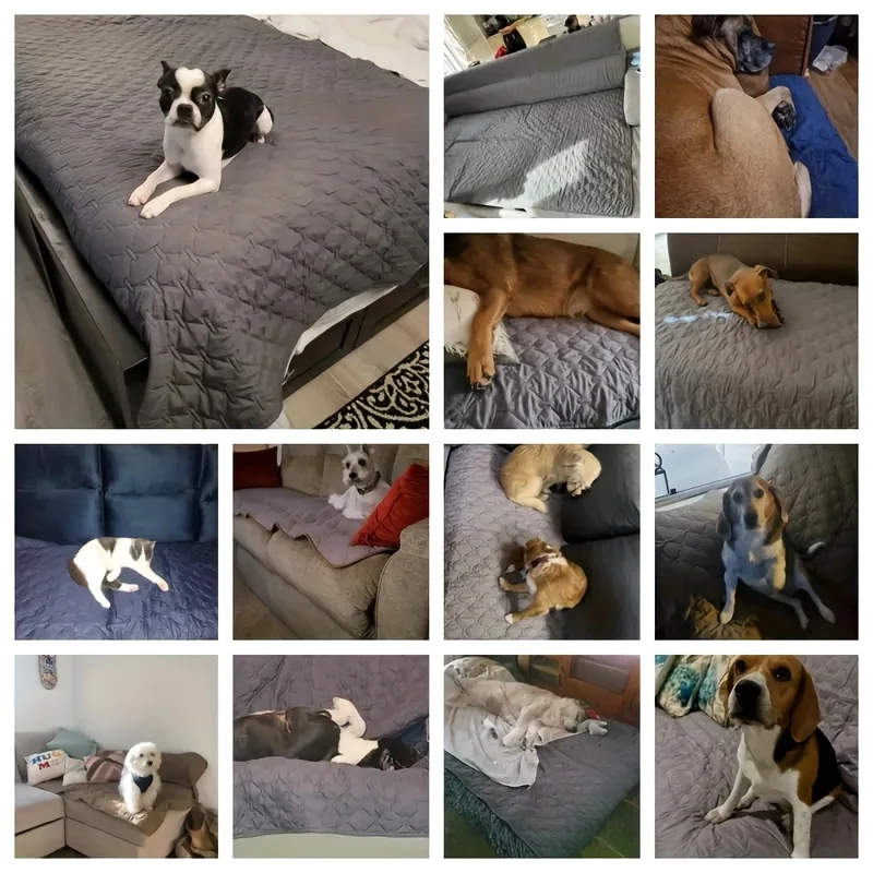 Double-Sided Waterproof Dog Bed Cover Pet Blanket Sofa Couch Furniture Protector For Dogs view 6