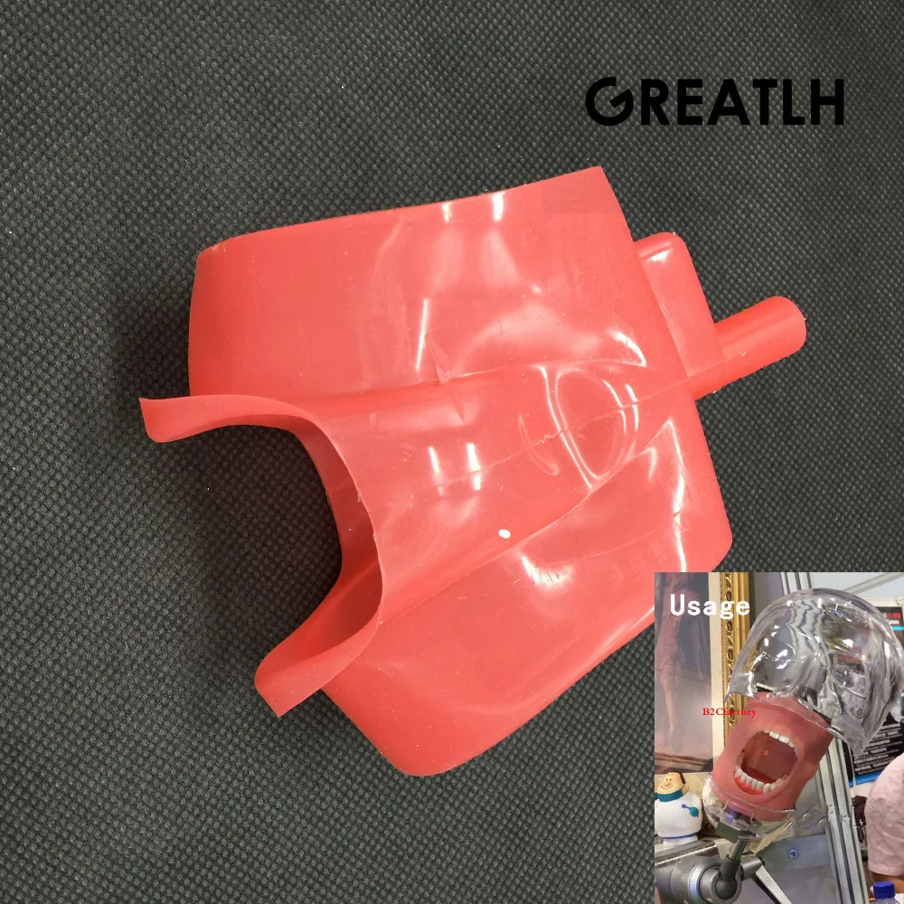

Dental Teeth Model Silicone Mouth Mask Holder Decor Dental Instrument