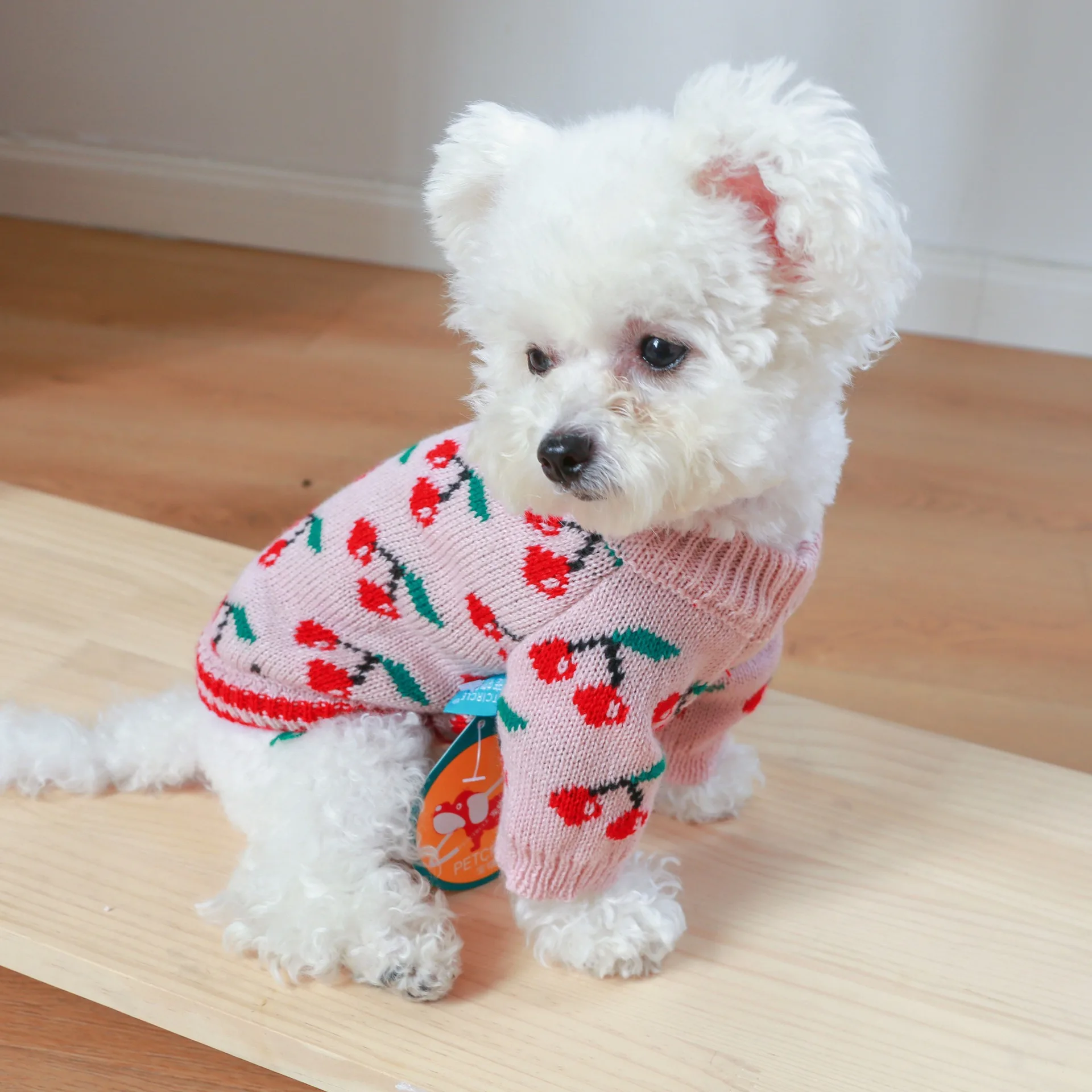 Teddy Beautiful None Pull pour petits et moyens chiens, vêtements d'hiver chauds, tricots Yorkshire Bichon, vêtements de fruits