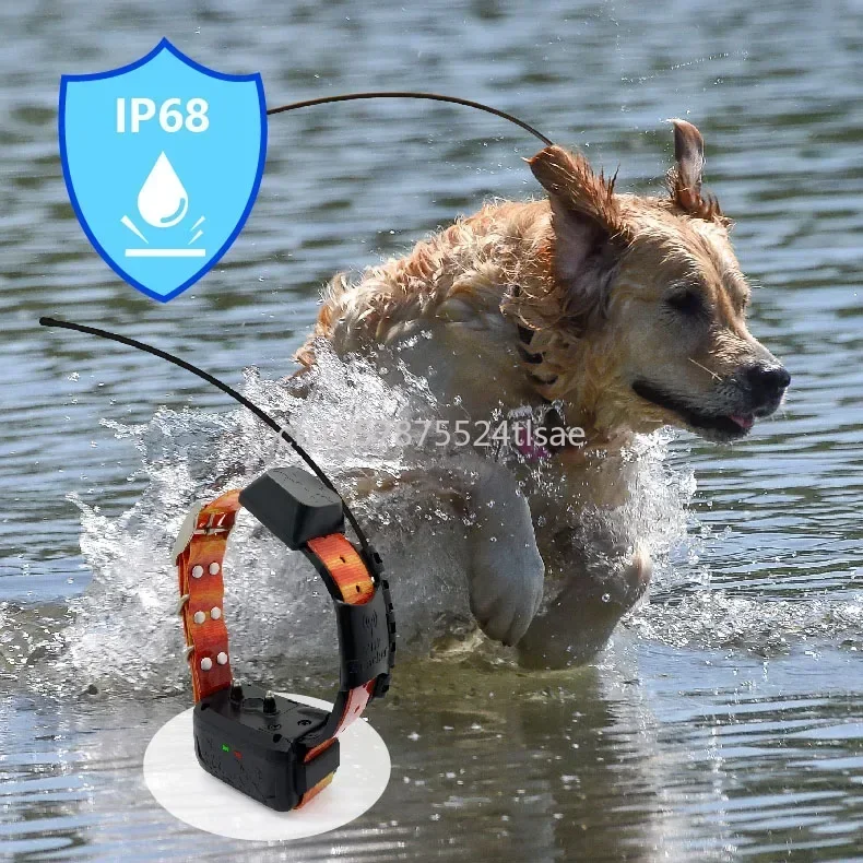WiFi 4G Waterproof Pet tracker Hound Gps Tracker Hunting Dog Gps Tracking Collar