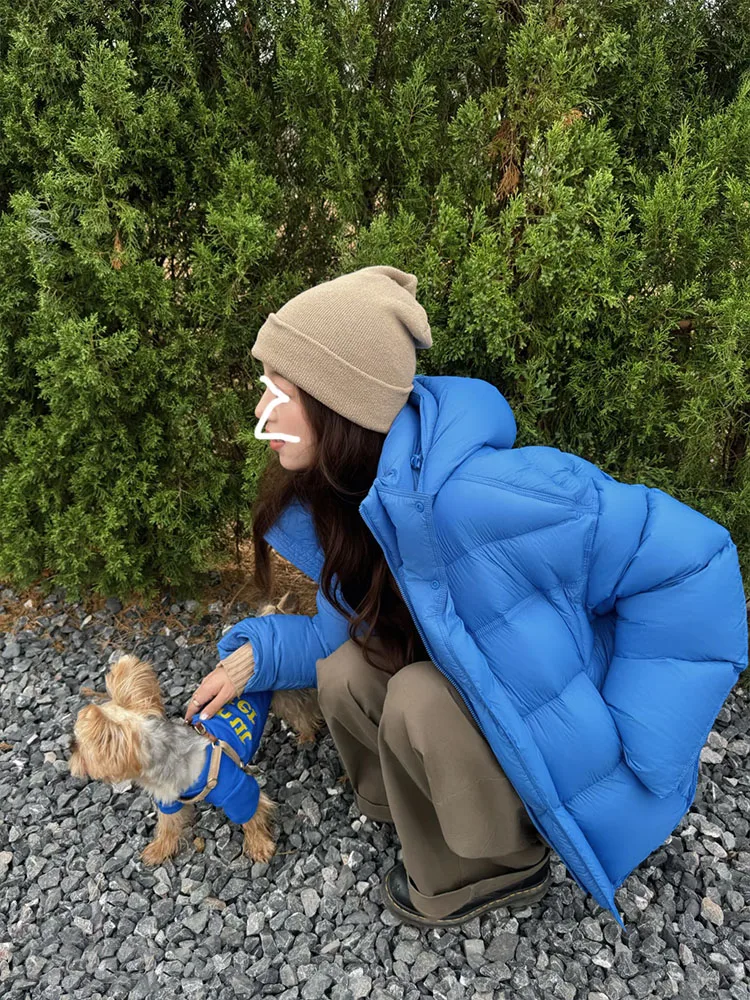 

Новая женская зимняя утепленная куртка-пуховик Klein Blue из хлопка, короткая, с капюшоном, теплая, в корейском стиле, свободного кроя, маленький размер