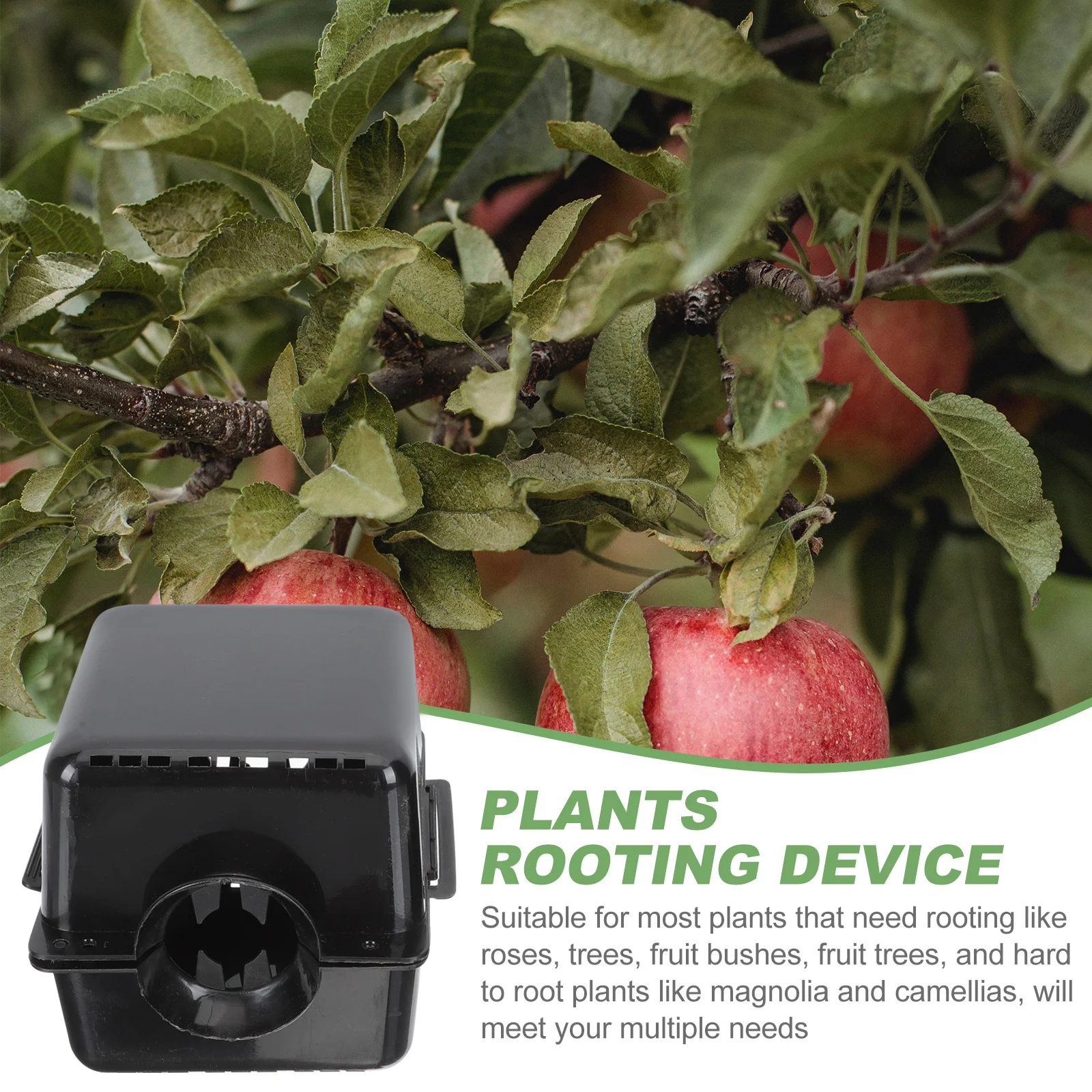 

4pcs Reusable Plant Rooting Boxes Square Strong Root Growth Visible Results Gardening Grafting Devices High Pressure Cloning