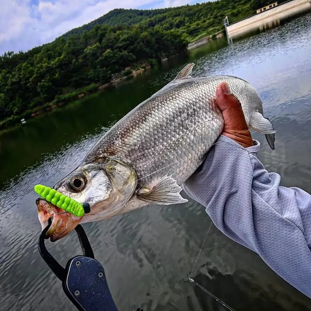 Spinpoler Poor Worm Soft Bait TPR Segement Body Floating Freshwater Saltwater Bass Trout River Sea Dropshot Ned Fishing Tackle image 2
