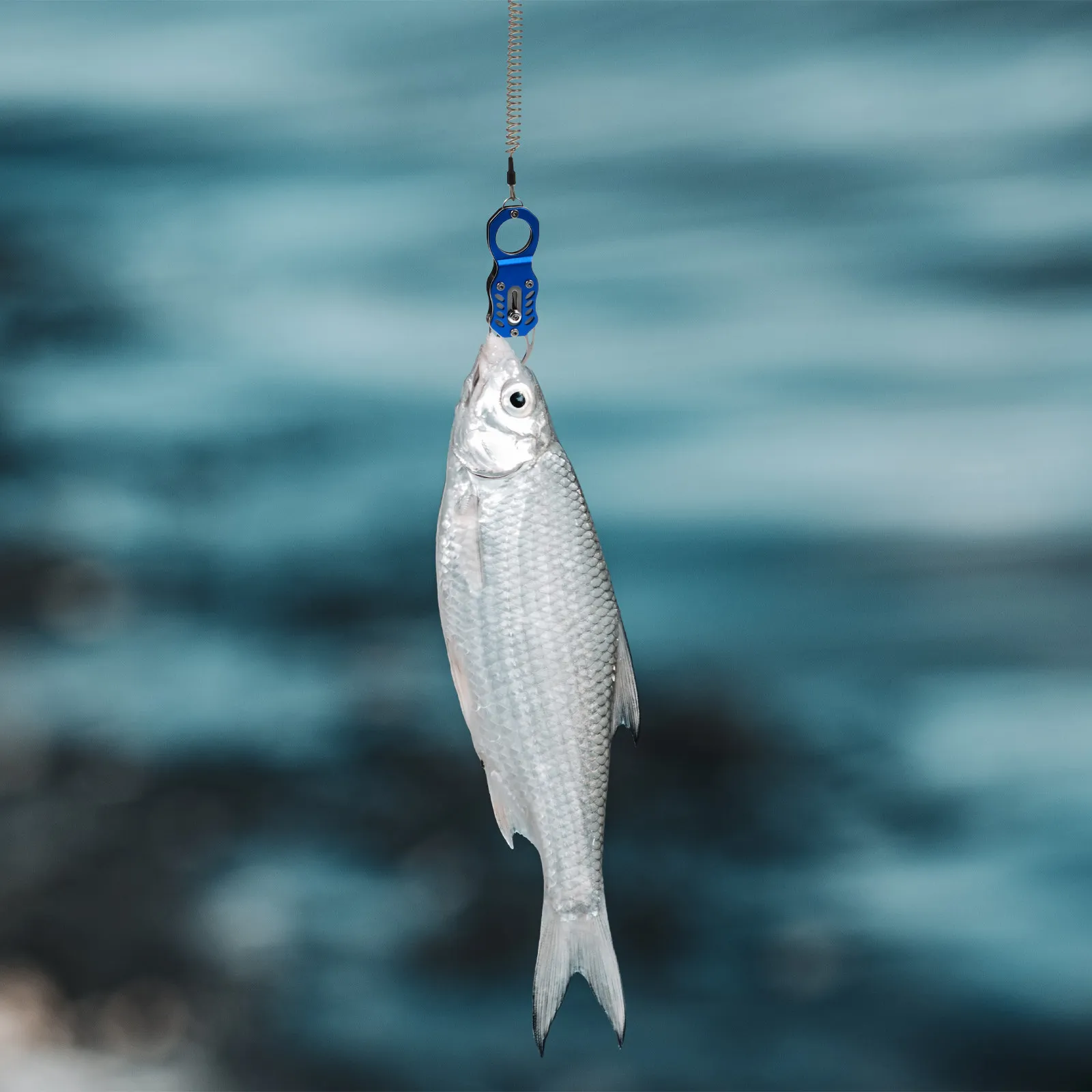 

1Pcs Heavy Duty Fish Lip Gripper Stainless Steel Plier Comfort Grip Non-Slip Control Fishing Clamp for Anglers Fishing